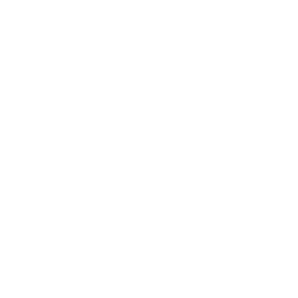 Lupa icono