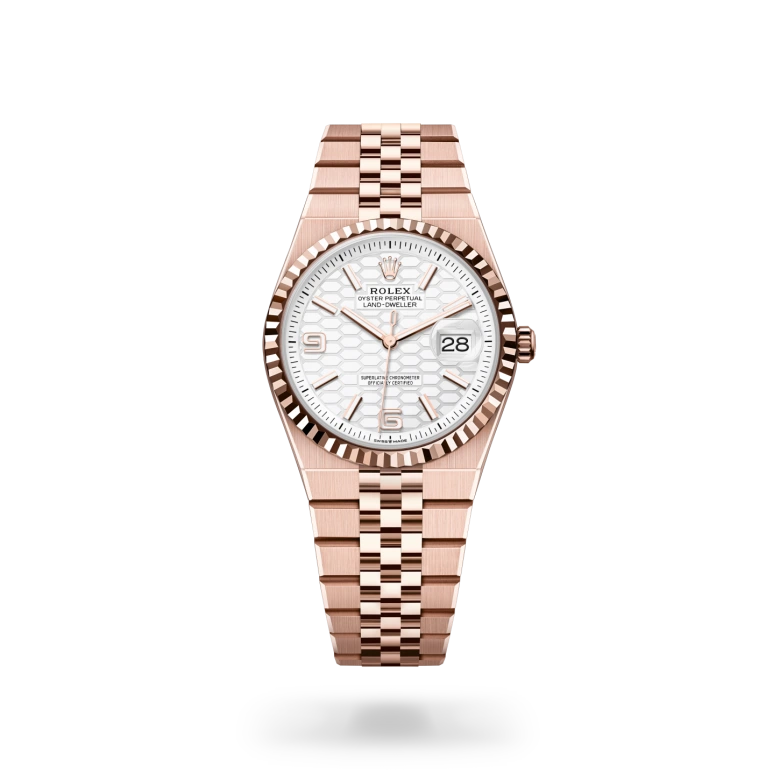 Land-Dweller Oyster, 36 mm, oro Everose