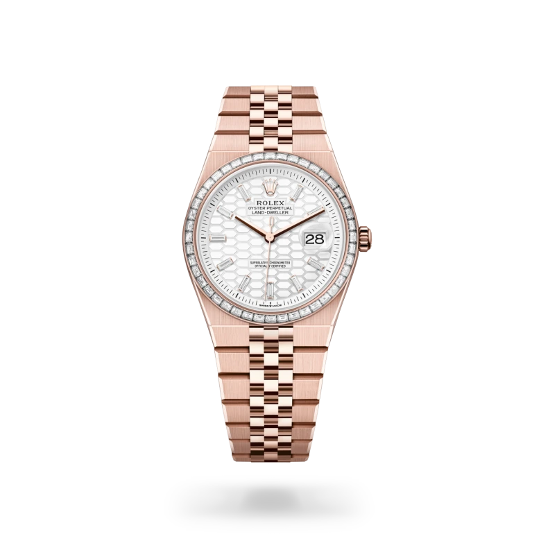 Land-Dweller Oyster, 36 mm, oro Everose y diamantes