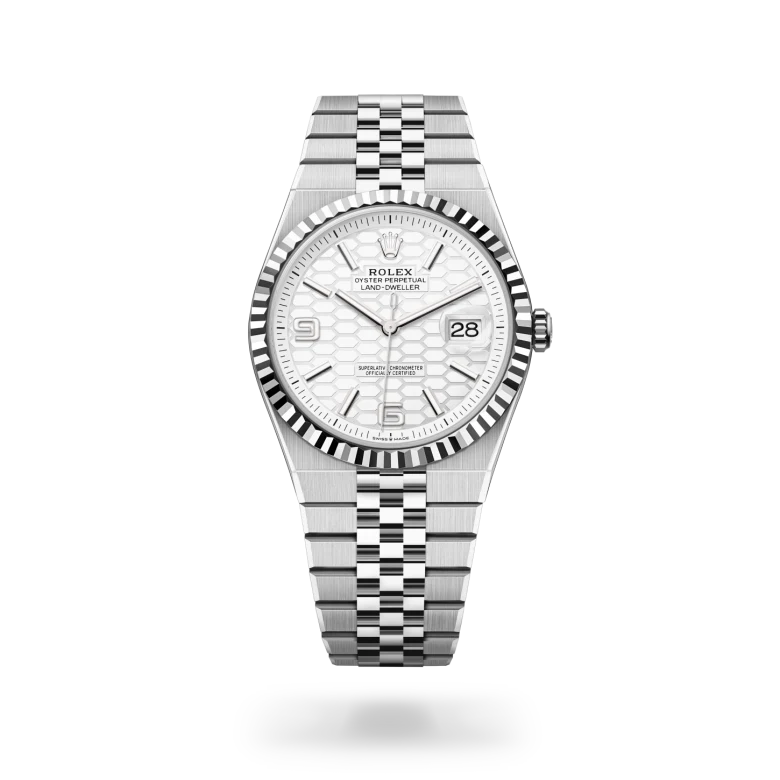 Land-Dweller Oyster, 40 mm, acero Oystersteel y oro blanco