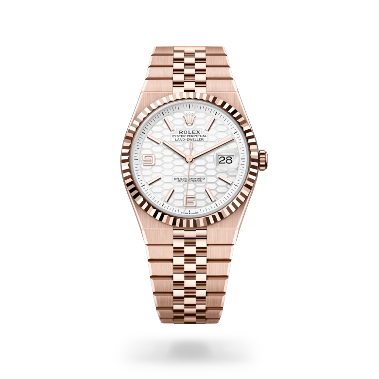 Land-Dweller Oyster, 40 mm, oro Everose