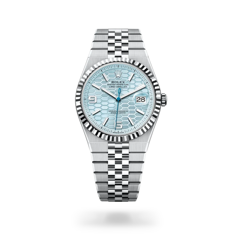 Land-Dweller Oyster, 40 mm, platino