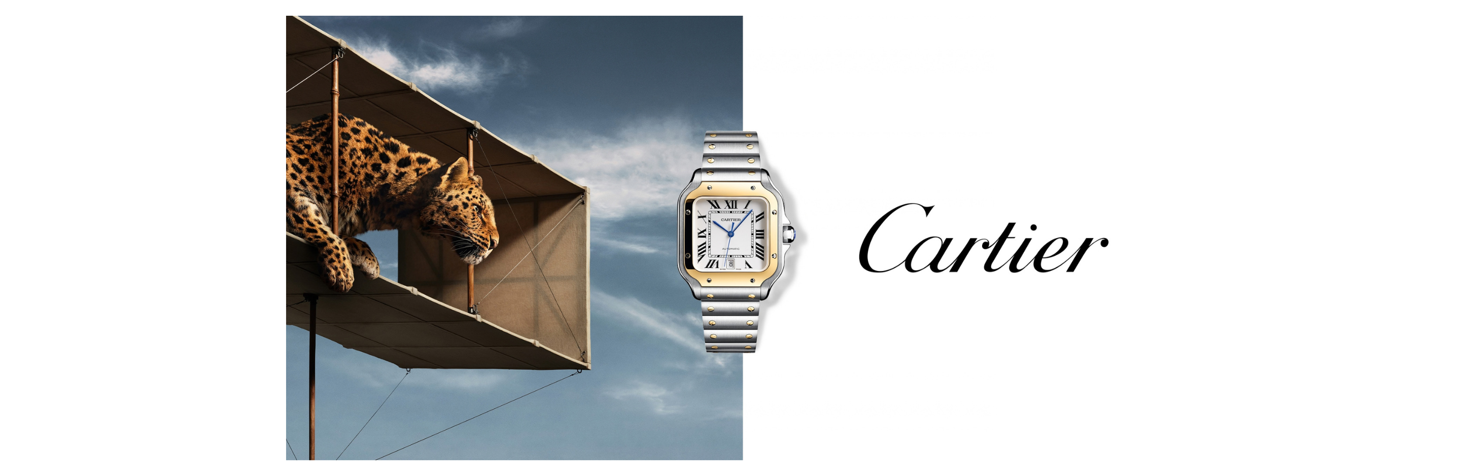 Cartier Banner